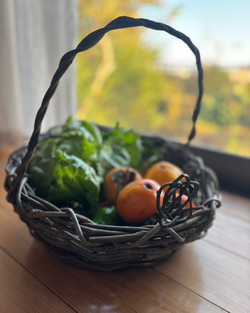 あまやどりサポーターグリーフ経験者もえ